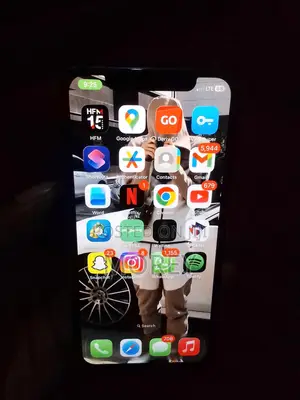 Apple iPhone 11 Pro Max 64 GB Gray