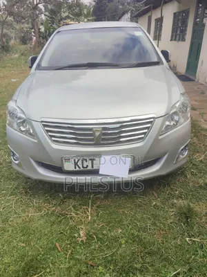 Toyota Premio 2013 Silver