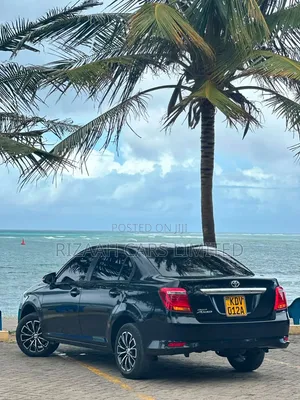 Toyota Axio 2019 Black