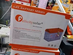 Best 100ah Felicity Gel Battery