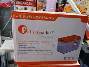 Best Felicity Gel Battery