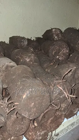Arrowroots (Nduma)