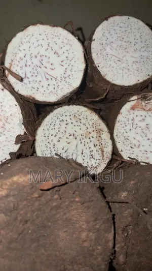 Arrowroots (Nduma)