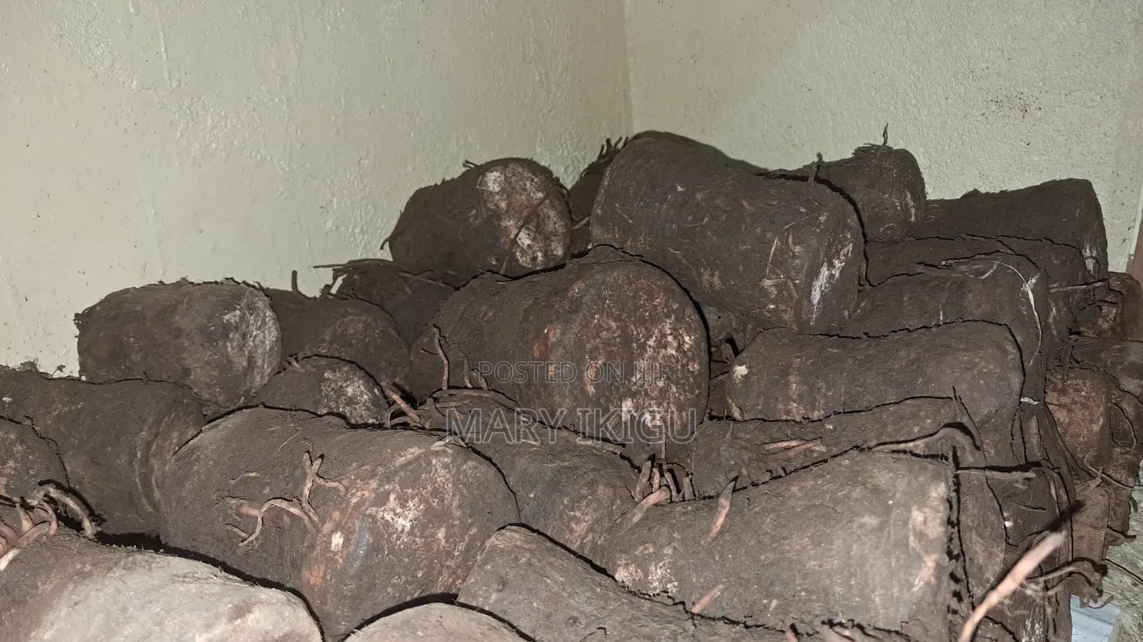 Arrowroots (Nduma)