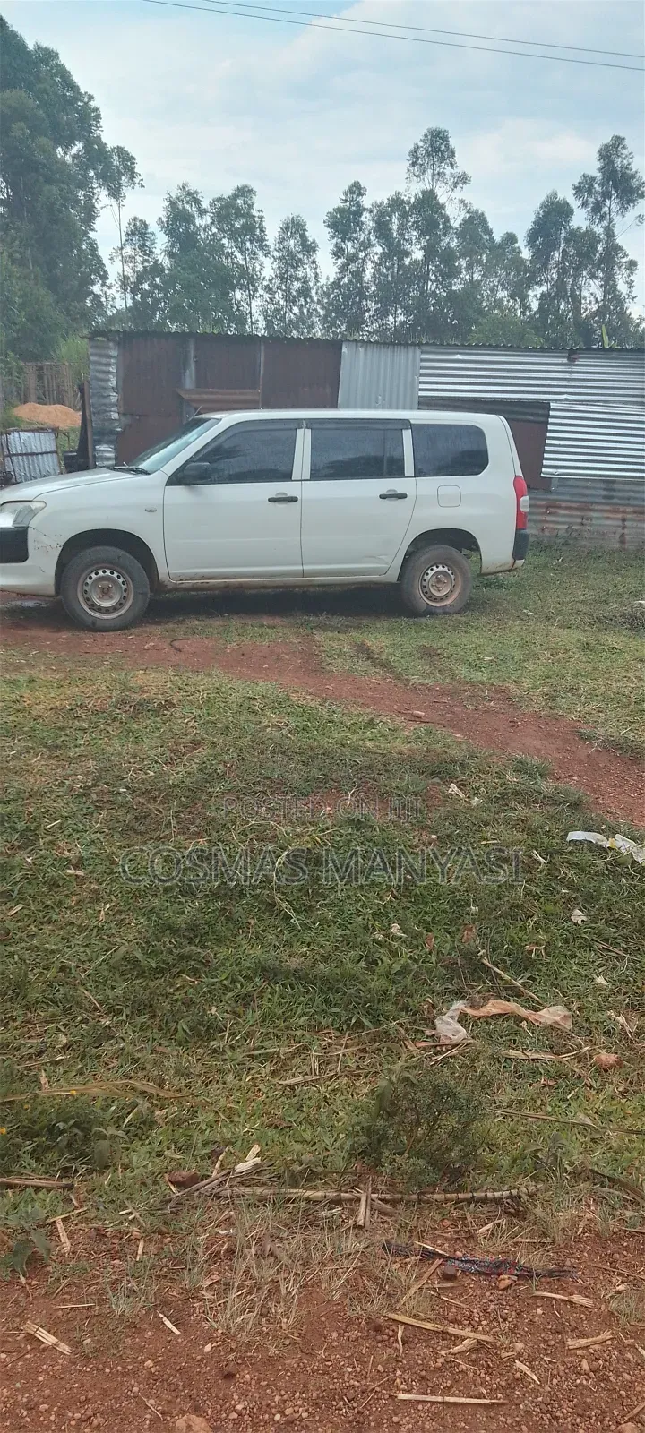 Toyota Probox 2016 White