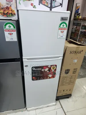 Energy Saving Rf/174 Ramtoms Double Fridge