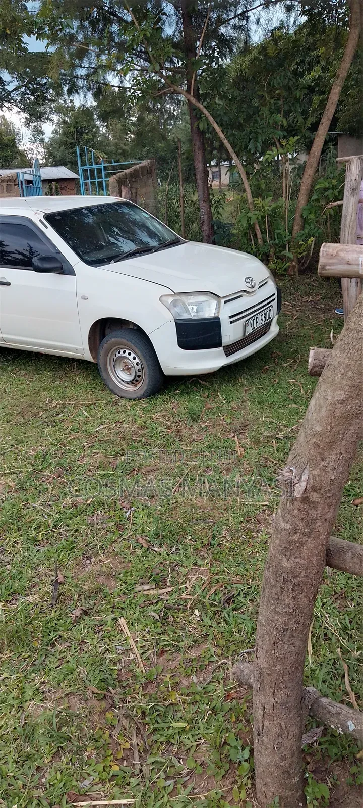 Toyota Probox 2016 White