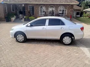 Toyota Axio 2010 Silver
