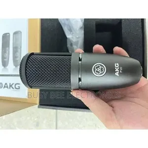 AKG P120 Cardioid Condenser Microphone (Black)