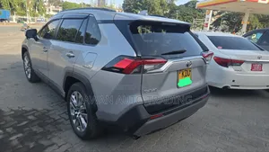 Toyota RAV4 2019 Silver