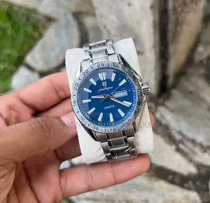 Poedagar Gents Executive Designer Fashion Watches Luminous Arms