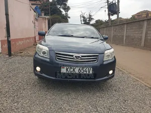 Toyota Axio 2010 Gray