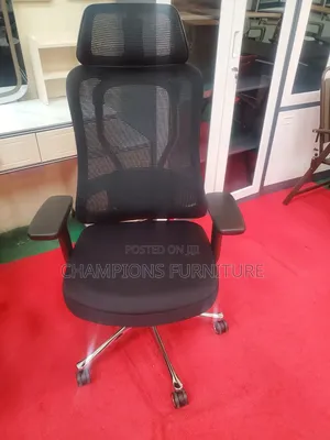 Chrome Spine Orthopedic Office Chair