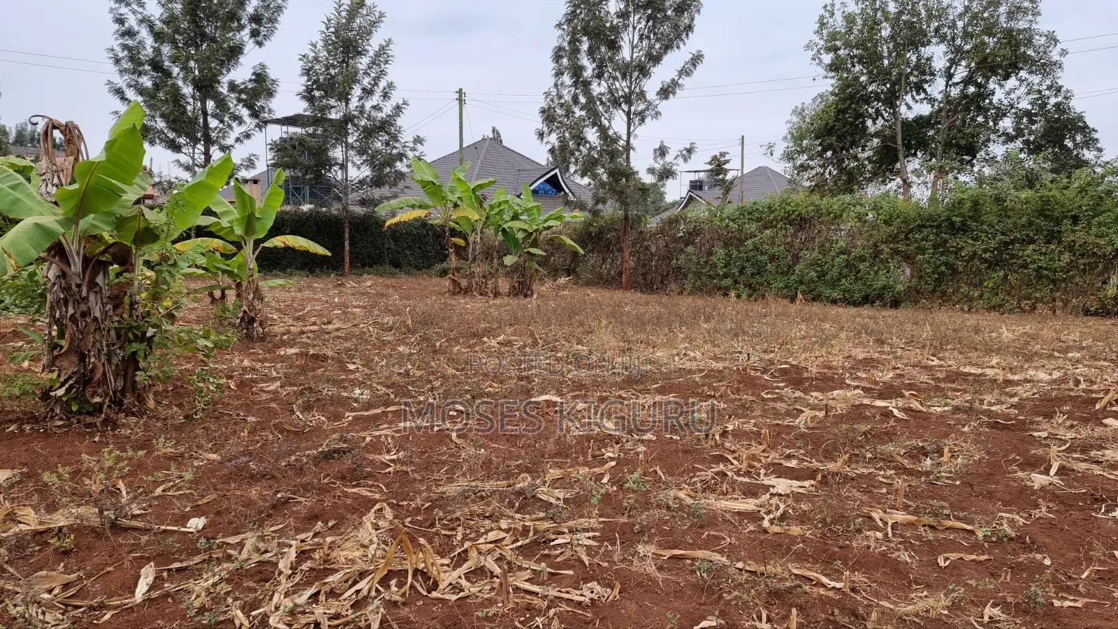 Kenol Prime 40x80 Plot