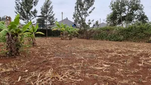 Kenol Prime 40x80 Plot