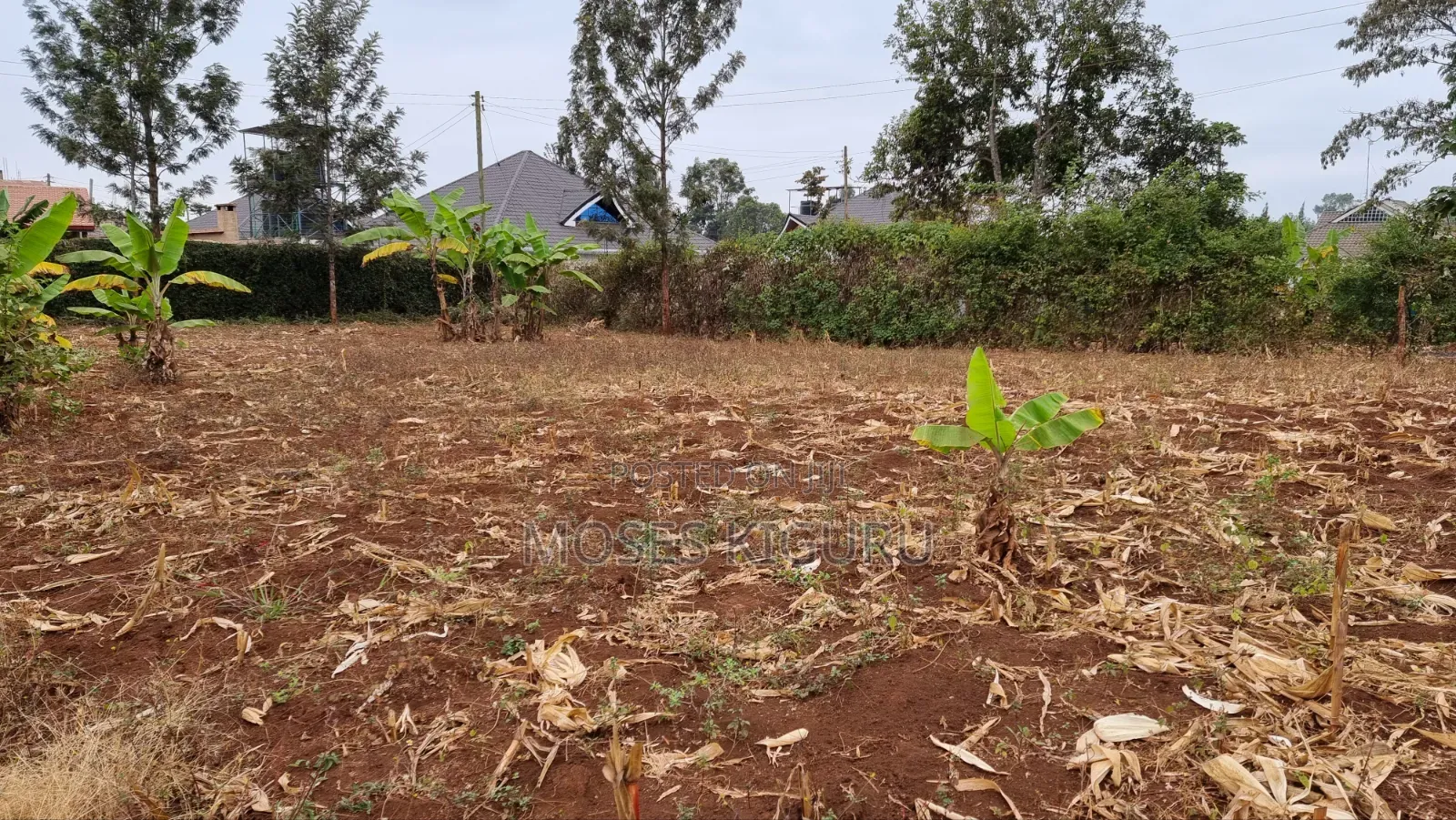 Kenol Prime 40x80 Plot