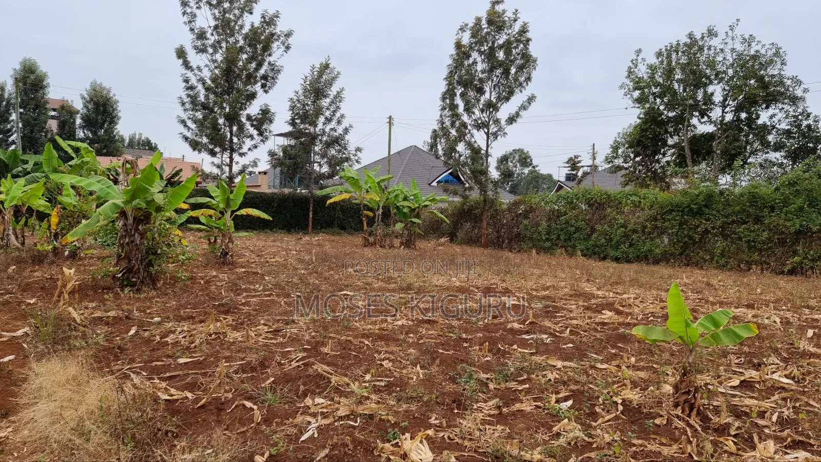 Kenol Prime 40x80 Plot