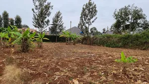 Kenol Prime 40x80 Plot
