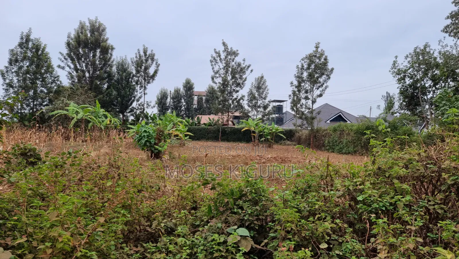 Kenol Prime 40x80 Plot