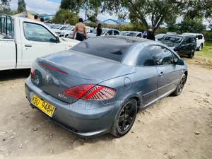 Peugeot 307 2005 Gray