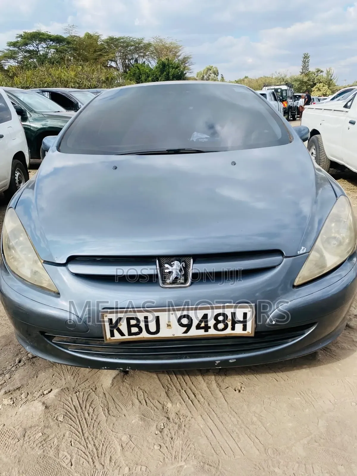 Peugeot 307 2005 Gray