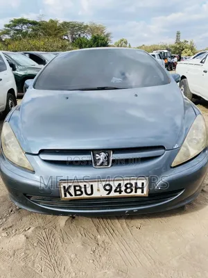Peugeot 307 2005 Gray