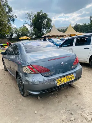 Peugeot 307 2005 Gray