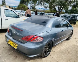 Peugeot 307 2005 Gray