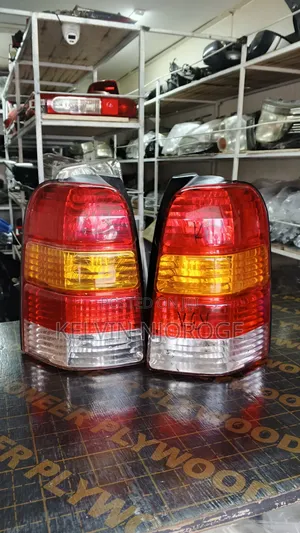 Ford Escape Taillight