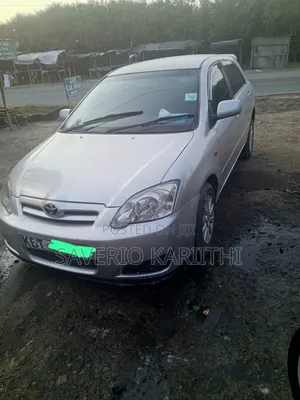 Toyota Corolla RunX 2006 Gray