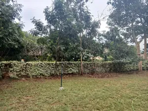 5bdrm House in Runda for rent