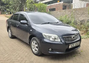 Toyota Axio 2009 Gray
