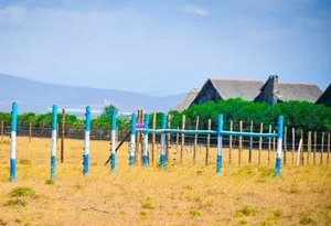 50*100 Plots in Naivasha-Mirera At