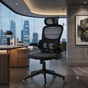 Office Chairs; Orthopedic Flip in Out Office Chairs