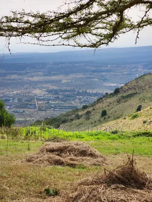 Prime Residential 1⁄4 Acre Ngong-Lemiso