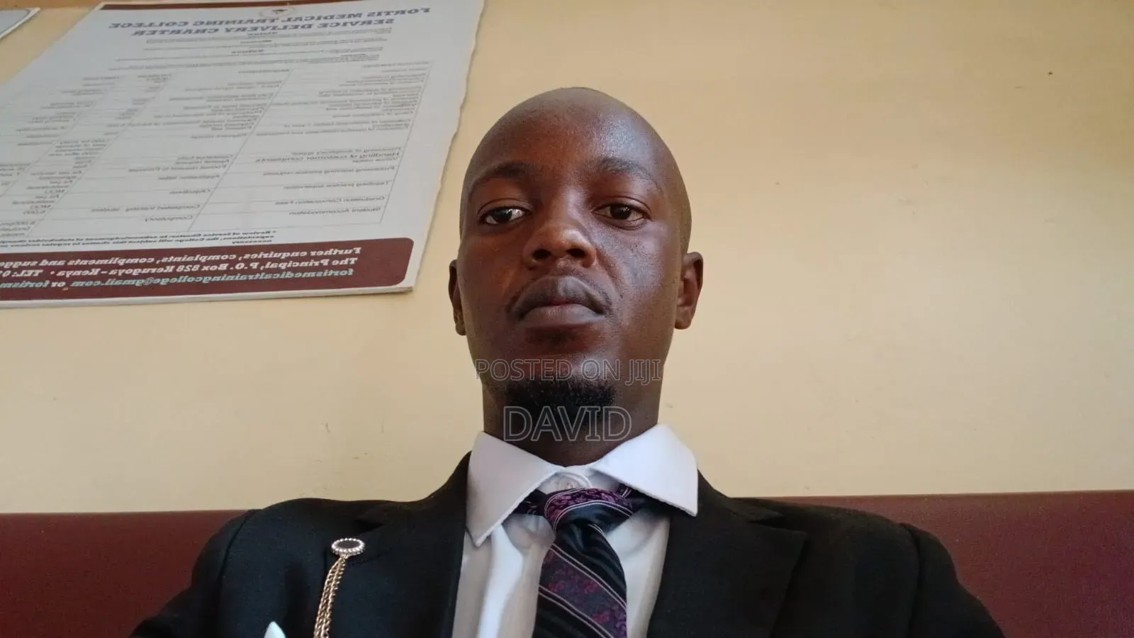 Professional Mathematics Teacher