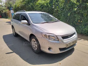 Toyota Corolla Fielder 2009 Silver