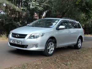 Toyota Corolla Fielder 2009 Silver