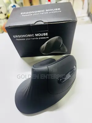 Ergonomic Vertical Mouse for Office Home Use
