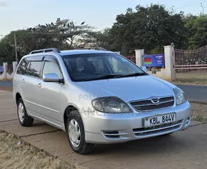 Toyota Corolla Fielder 2003 Silver