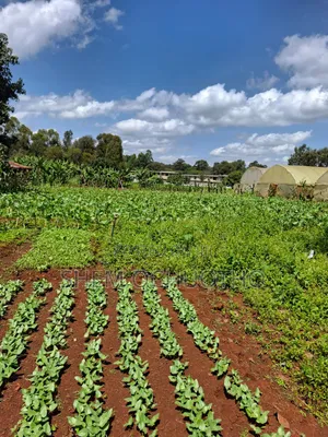 1/2 Acres Plots on Sale in Karen