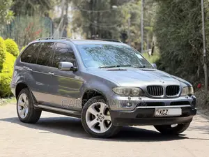 BMW X5 2007 Gray