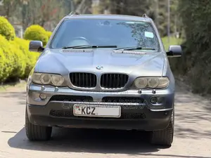 BMW X5 2007 Gray