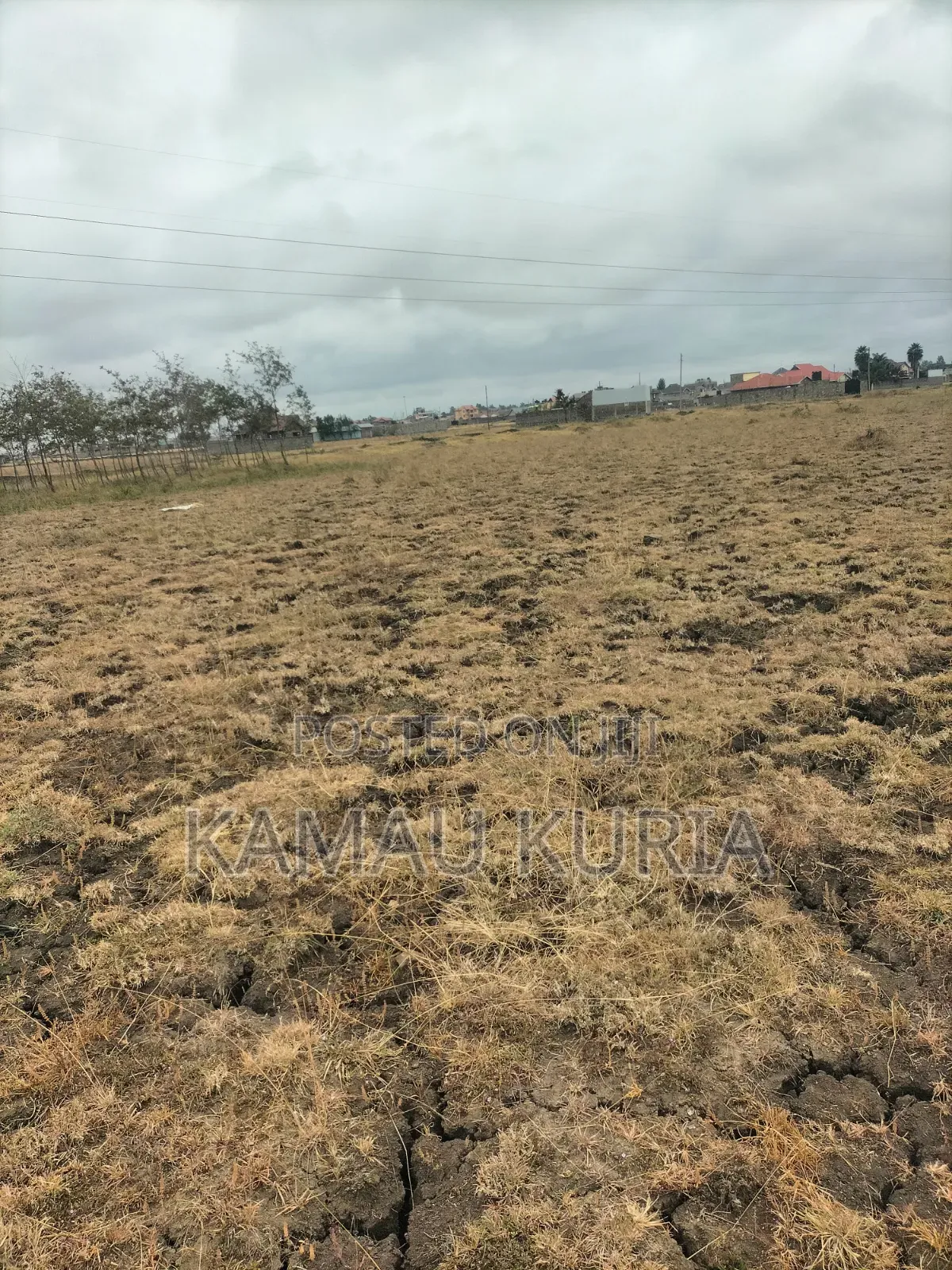 Plot Thika Salama Landless