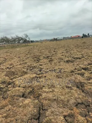 Plot Thika Salama Landless