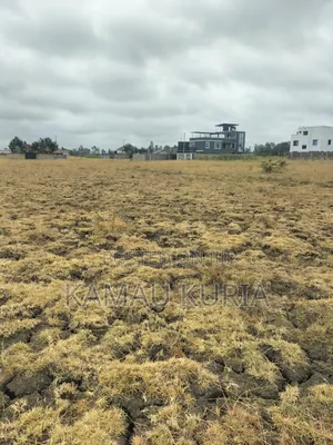 Plot Thika Salama Landless