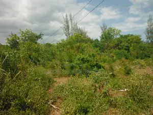 1 Acre for Sale in Msambweni