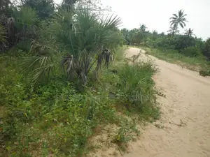 10 Acres for Sale in Ramisi