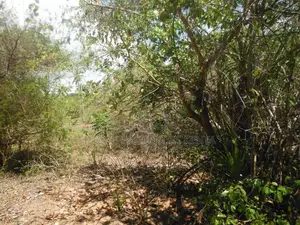 2-Acre Prime Plot in Ukunda Next to a High-Value Home
