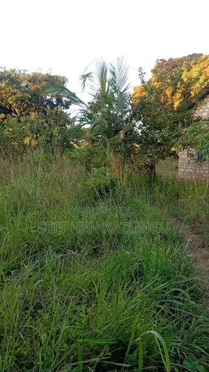 Nice 1/8 Acre Plot Only 1.5 KMS From the Lungalunga Highway Road